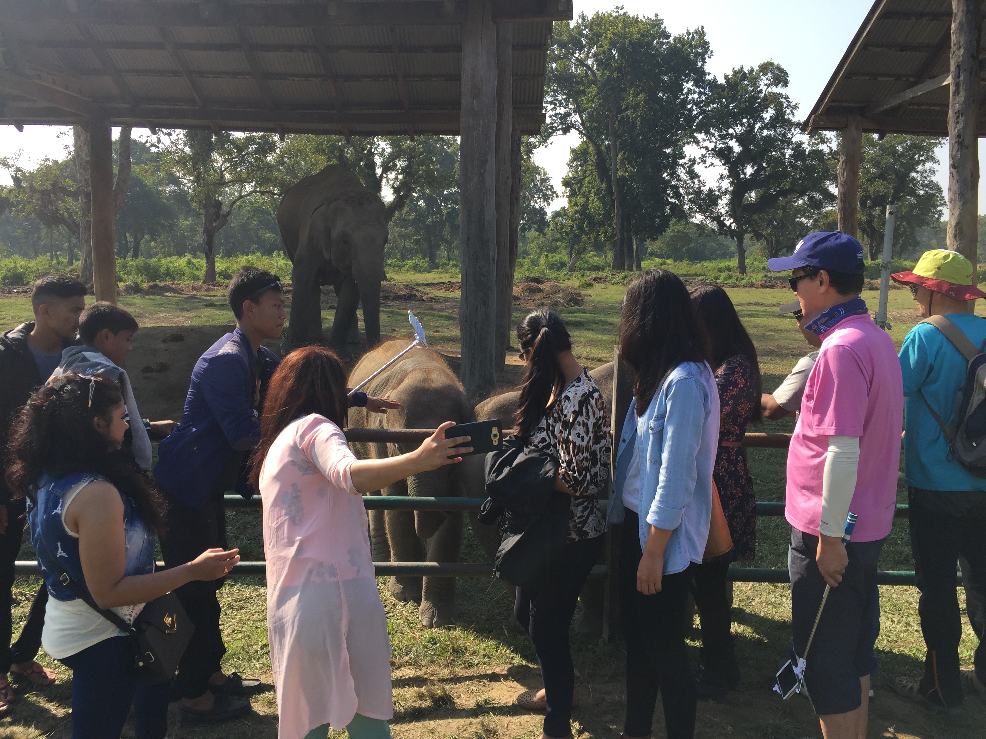 Visiting Elephant Breeding center
